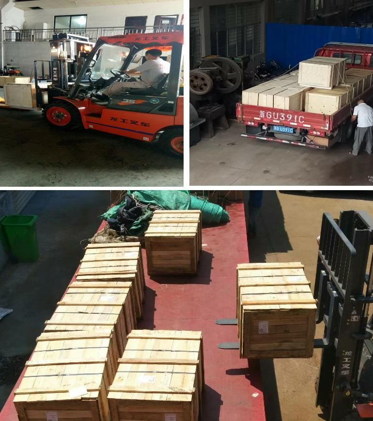 Triple Speed Chain with Steel Plate Nylon Roller Used in Conveyor Belt