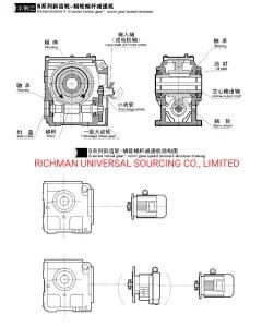 Qiangzhu Cambio Elicoidale Serie R67