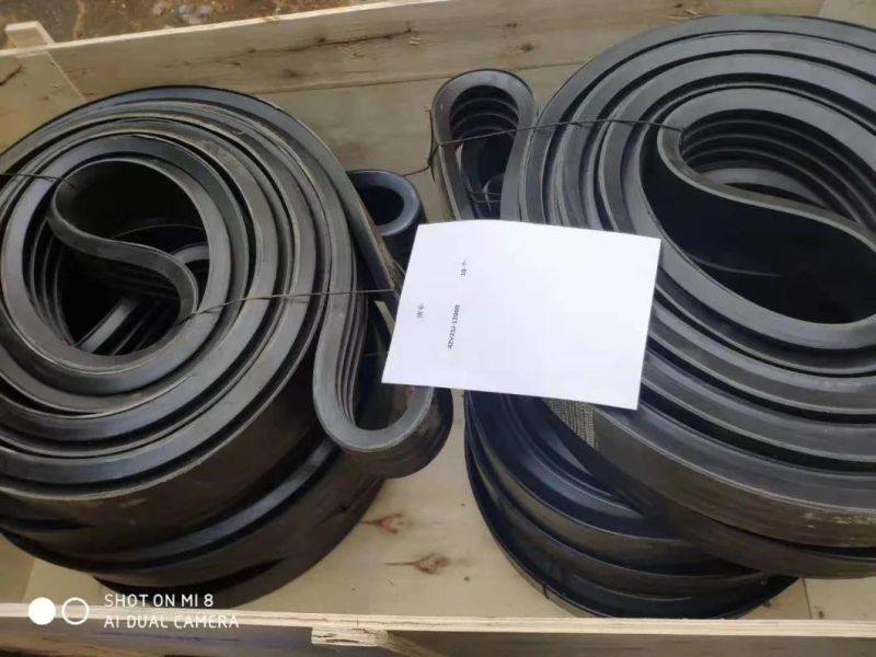 V Belt for Drilling Rig/V Belt for Mud Pump 8V4000, 8zv25j-8000, 5zv25j-7620, 5zv25j-8000, 4zv25j-8000, 4zv25j-7620