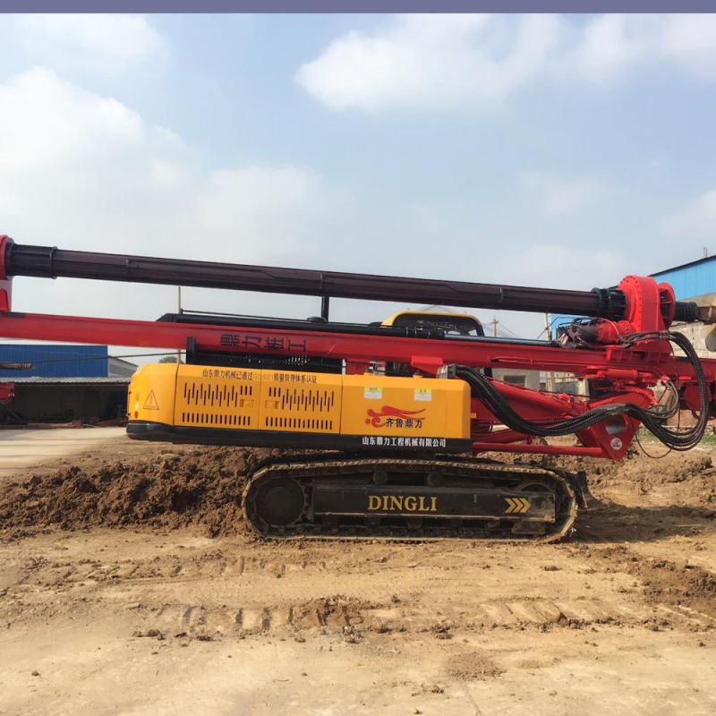 Dr-100 20m Engineering/Rotary Drilling Rig for Sale