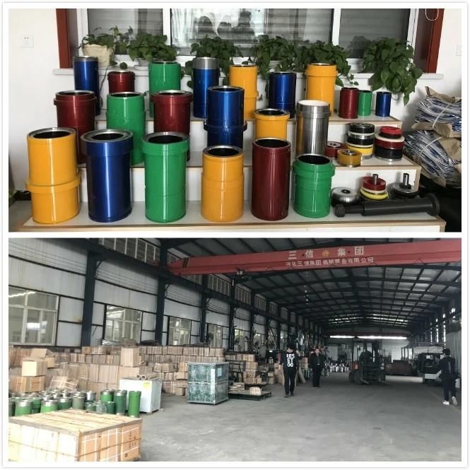 Top Drive System for Oil Drilling (TDS)