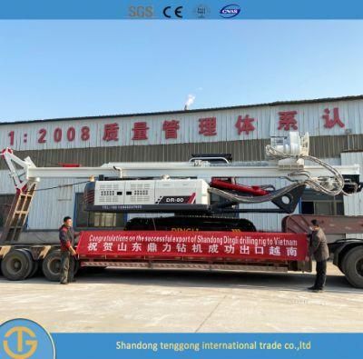 Rotary Drilling Rig Machine Dr-100 Mini Piling Rig for Sale
