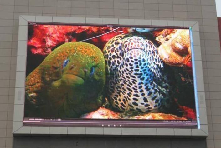 Video Fws Cardboard and Wooden Carton Waterproof LED Display Screen with RoHS