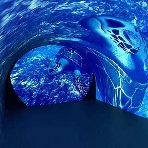 Indoor High-Quality Full-Color P3.91 LED Display Screen