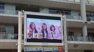 Outdoor LED Display Screen for Advertising (P15mm)