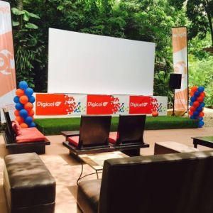 Outdoor Full Color LED Display (P15mm(AXT))