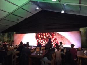 Indoor P3mm Rental Stage/Event/Party/Customized LED Display Screen (SMD3528)