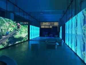Indoor RGB Waterproof P10 DIP/SMD LED Panel, Advertising LED Screen/Sign/Module/Display