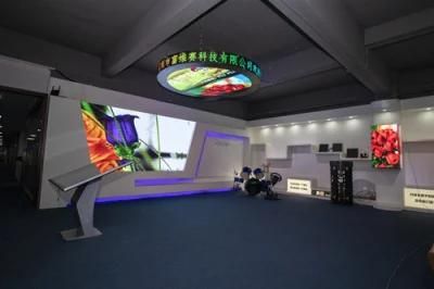 High Quality P10 Indoor Full Color LED Display for Advertising