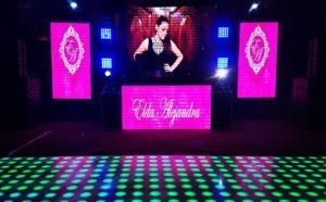 Indoor P3.91mm Rental Stage/Event/Party/Customized LED Display Screen (SMD3528)