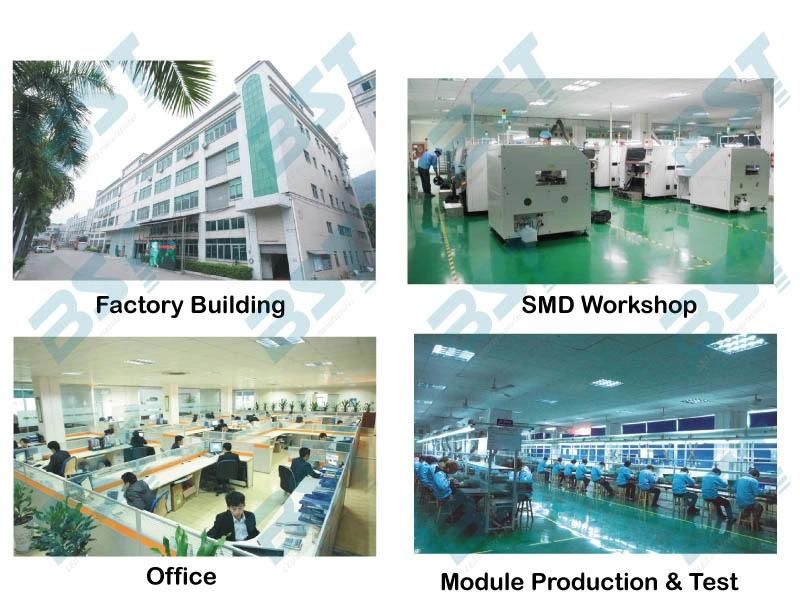 P3.91 P4.81 P5.95 P6.25 500 X 1000mm Outdoor Rental Stage LED Video Wall Screen High Definition