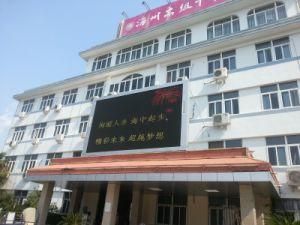 High Brightness Outdoor Single Color Single Yellow LED Module LED Display LED Video Wall (P10)