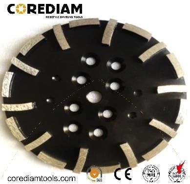 10 Inch Floor Grinding Disc/Floor Grinder/Grinding Dics/Grinding Plate/Diamond Tool