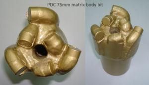 PDC Anchor Shank Drill Bit