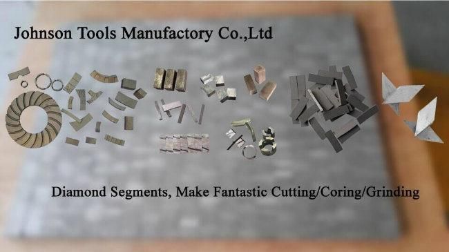 Diamond Segment for 600mm Circular Saw Blade