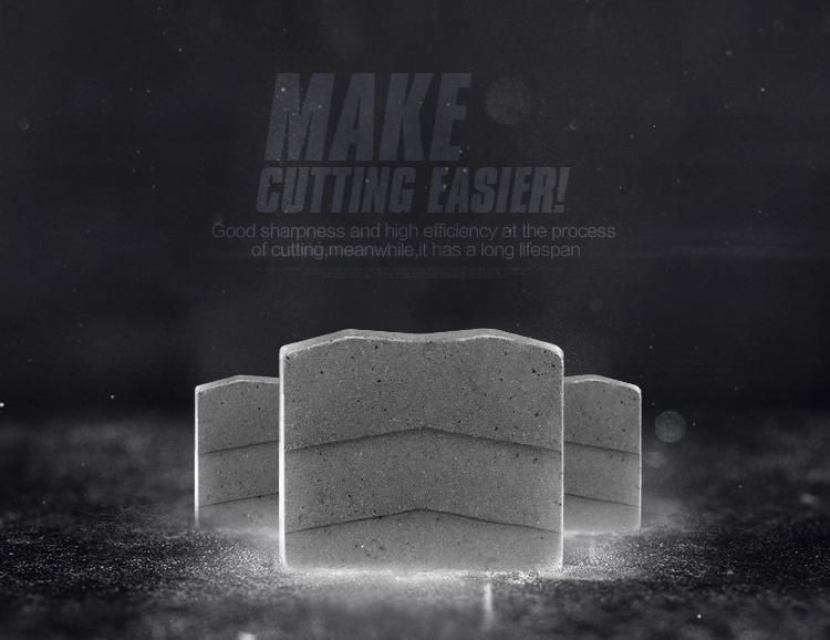Wanlong Sandstone Cutting Diamond Segment for Stone