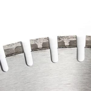Segmented Bevel Turbo Blade with Protecting Teeth